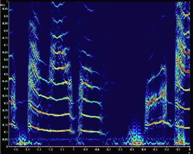 Spektrogramm bei DXP-Berechnung
